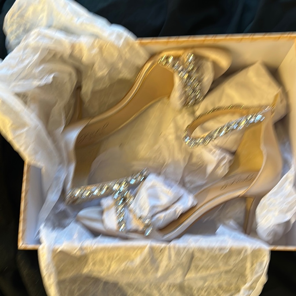 Evening shoes Badgley and Mischka worn once